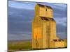 Old Granary at Sipple, Montana, USA-Chuck Haney-Mounted Photographic Print