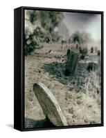 Old Gravestones in Overgrown Graveyard-Tim Kahane-Framed Stretched Canvas