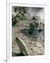 Old Gravestones in Overgrown Graveyard-Tim Kahane-Framed Photographic Print
