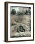 Old Gravestones in Overgrown Graveyard-Tim Kahane-Framed Photographic Print