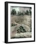 Old Gravestones in Overgrown Graveyard-Tim Kahane-Framed Photographic Print