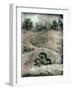 Old Gravestones in Overgrown Graveyard-Tim Kahane-Framed Photographic Print