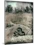 Old Gravestones in Overgrown Graveyard-Tim Kahane-Mounted Photographic Print