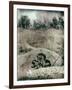 Old Gravestones in Overgrown Graveyard-Tim Kahane-Framed Photographic Print