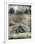 Old Gravestones in Overgrown Graveyard-Tim Kahane-Framed Photographic Print