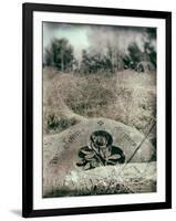 Old Gravestones in Overgrown Graveyard-Tim Kahane-Framed Photographic Print