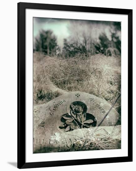 Old Gravestones in Overgrown Graveyard-Tim Kahane-Framed Photographic Print