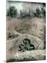 Old Gravestones in Overgrown Graveyard-Tim Kahane-Mounted Photographic Print