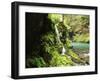 Old-Growth Rainforest, Graves Creek Tributary, Olympic National Park, Washington State, USA-Stuart Westmorland-Framed Premium Photographic Print