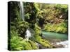 Old-Growth Rainforest, Graves Creek Tributary, Olympic National Park, Washington State, USA-Stuart Westmorland-Stretched Canvas