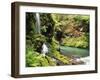 Old-Growth Rainforest, Graves Creek Tributary, Olympic National Park, Washington State, USA-Stuart Westmorland-Framed Premium Photographic Print