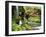 Old-Growth Rainforest, Graves Creek Tributary, Olympic National Park, Washington State, USA-Stuart Westmorland-Framed Premium Photographic Print