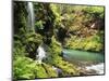 Old-Growth Rainforest, Graves Creek Tributary, Olympic National Park, Washington State, USA-Stuart Westmorland-Mounted Photographic Print