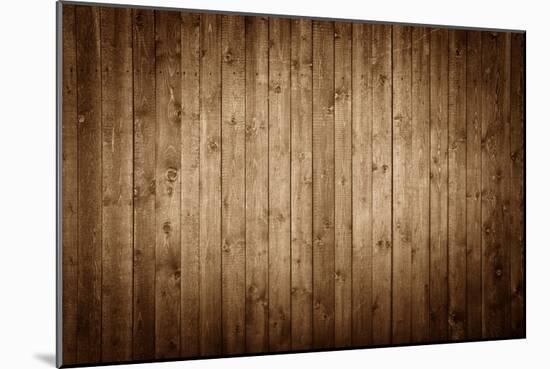 Old, Grunge Wood Panels-Reinhold Leitner-Mounted Photographic Print