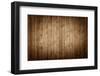 Old, Grunge Wood Panels-Reinhold Leitner-Framed Photographic Print