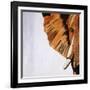 Old Guardian-Brent Abe-Framed Giclee Print