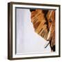 Old Guardian-Brent Abe-Framed Giclee Print