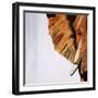 Old Guardian-Brent Abe-Framed Giclee Print
