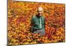Old Guy in Field of Daisies-null-Mounted Premium Giclee Print