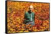 Old Guy in Field of Daisies-null-Framed Stretched Canvas