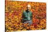 Old Guy in Field of Daisies-null-Stretched Canvas