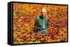 Old Guy in Field of Daisies-null-Framed Stretched Canvas