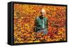 Old Guy in Field of Daisies-null-Framed Stretched Canvas