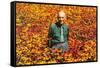 Old Guy in Field of Daisies-null-Framed Stretched Canvas