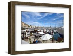 Old Harbour Port Vell, Barcelona, Catalonia, Spain-null-Framed Art Print