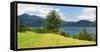 Old Harewood on a Pasture at Lake Walchen (Walchensee), Bavaria, Germany-Andreas Vitting-Framed Stretched Canvas