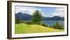 Old Harewood on a Pasture at Lake Walchen (Walchensee), Bavaria, Germany-Andreas Vitting-Framed Photographic Print