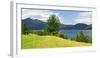 Old Harewood on a Pasture at Lake Walchen (Walchensee), Bavaria, Germany-Andreas Vitting-Framed Photographic Print