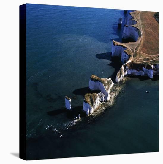 Old Harry Rocks, Chalk Stacks Located Directly-Adrian Warren-Stretched Canvas