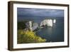 Old Harry Rocks on the Jurassic Coast, UNESCO World Heritage Site, Swanage, Dorset, England-Stuart Black-Framed Photographic Print