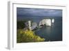 Old Harry Rocks on the Jurassic Coast, UNESCO World Heritage Site, Swanage, Dorset, England-Stuart Black-Framed Photographic Print