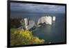 Old Harry Rocks on the Jurassic Coast, UNESCO World Heritage Site, Swanage, Dorset, England-Stuart Black-Framed Premium Photographic Print