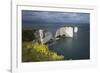 Old Harry Rocks on the Jurassic Coast, UNESCO World Heritage Site, Swanage, Dorset, England-Stuart Black-Framed Photographic Print