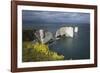 Old Harry Rocks on the Jurassic Coast, UNESCO World Heritage Site, Swanage, Dorset, England-Stuart Black-Framed Photographic Print