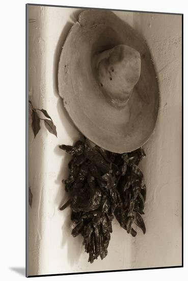 Old Hat and Ristras-Kathy Mahan-Mounted Photographic Print