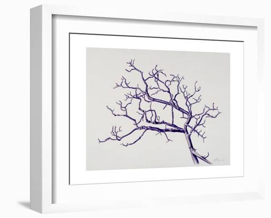 Old Hawthorn, 2000-Rebecca John-Framed Giclee Print