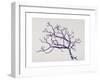 Old Hawthorn, 2000-Rebecca John-Framed Giclee Print