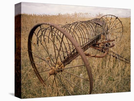 Old Hayrake & Teasle Near Preston, Cache Valley, Idaho, USA-Scott T^ Smith-Stretched Canvas