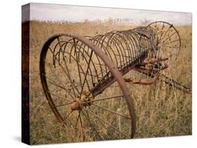 Old Hayrake & Teasle Near Preston, Cache Valley, Idaho, USA-Scott T^ Smith-Stretched Canvas