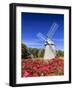 Old Higgins Farm Windmill-Michael Blanchette-Framed Premium Photographic Print