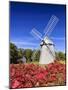 Old Higgins Farm Windmill-Michael Blanchette-Mounted Premium Photographic Print