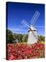 Old Higgins Farm Windmill-Michael Blanchette-Stretched Canvas