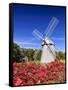 Old Higgins Farm Windmill-Michael Blanchette-Framed Stretched Canvas