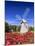 Old Higgins Farm Windmill-Michael Blanchette-Mounted Photographic Print