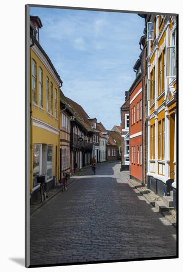 Old Historical Houses in Ribe, Denmark's Oldest Surviving City, Jutland, Denmark-Michael Runkel-Mounted Photographic Print