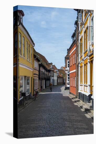 Old Historical Houses in Ribe, Denmark's Oldest Surviving City, Jutland, Denmark-Michael Runkel-Stretched Canvas